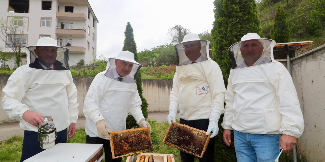 Ana arı yetiştiriciliği kursu düzenlendi