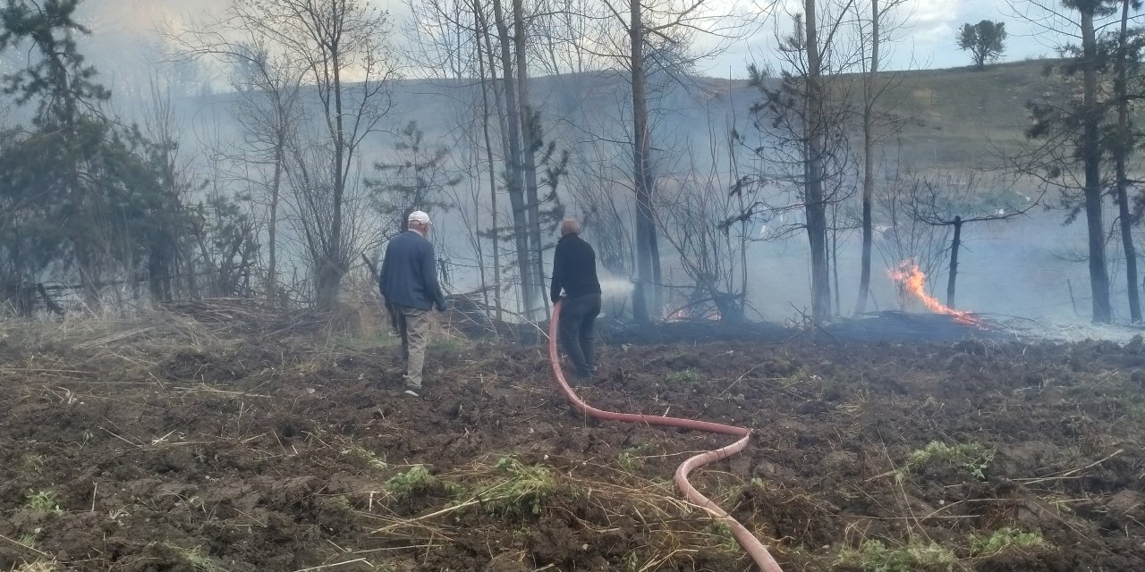 Yakılan ateş büyüyerek meyve ağaçlarına zarar verdi