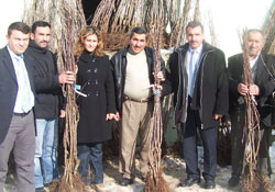 Havza'da meyvecilik yaygınlaşıyor