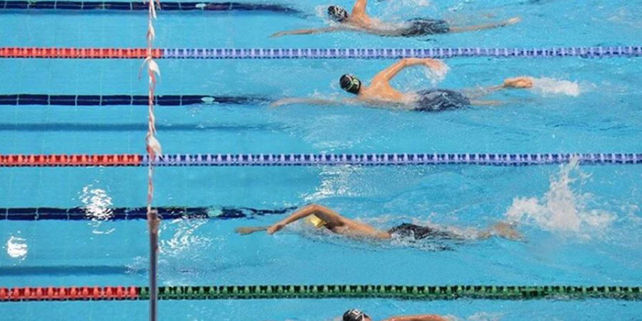 Türk yüzücüler, 52'si altın 137 madalya kazandı