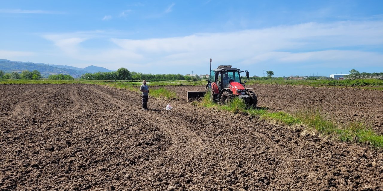 Samsun'da çiftçiler arazilerini çeltik ekimi için hazırlıyor