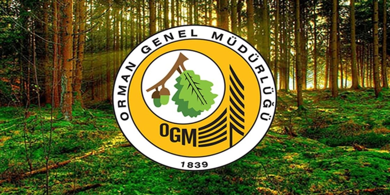 Orman Genel Müdürlüğü sistemi ödül aldı