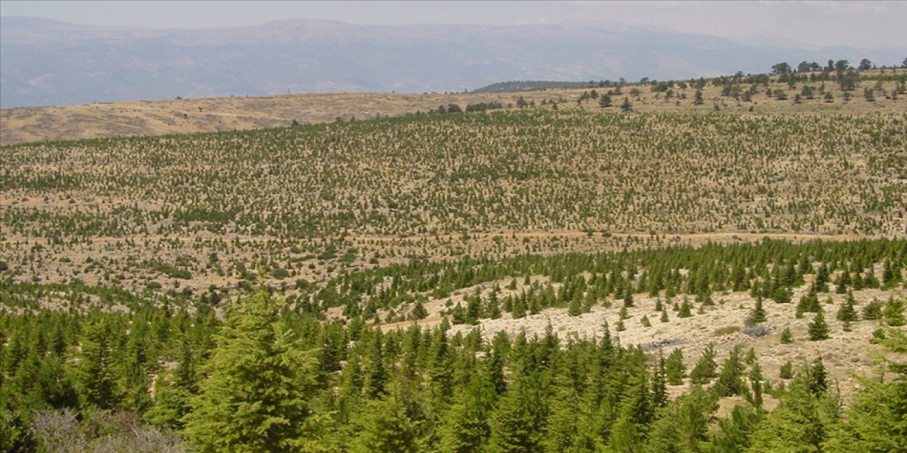 Erozyonla mücadele çalışmaları devam ediyor