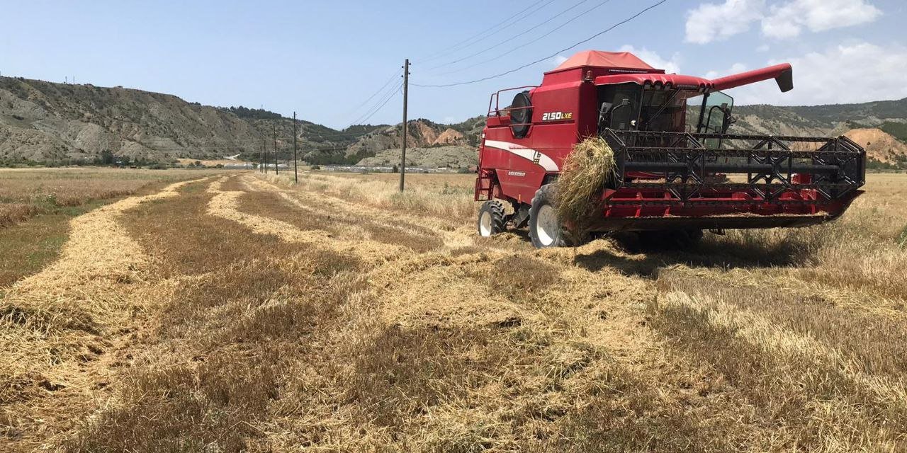 Arpa hasadı mesaisi başladı