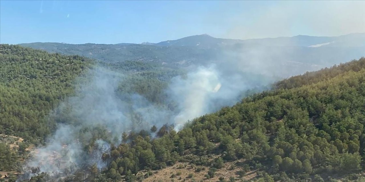 Çıkan orman yangını söndürüldü