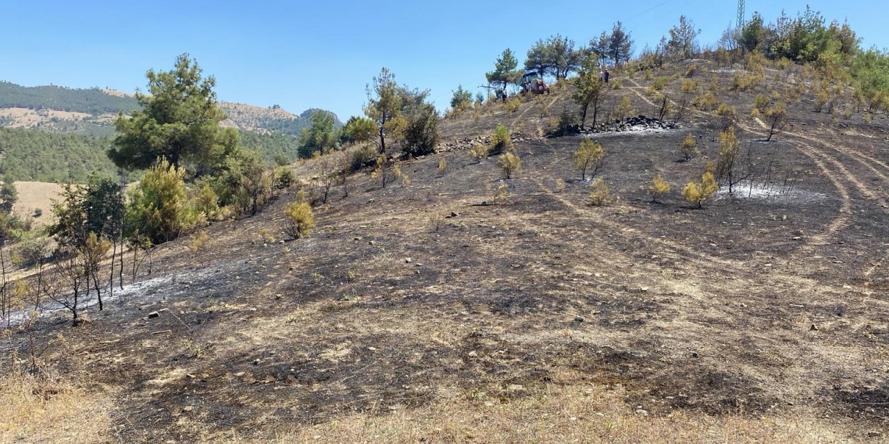 Samsun'da ormanlık alandaki yangın söndürüldü!