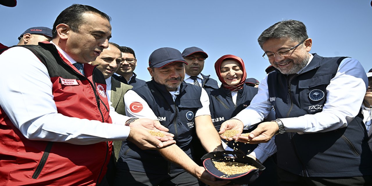 Bakanı Yumaklı buğday çeşitlerinin hasadına katıldı