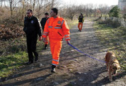 Aramalar devam ediyor