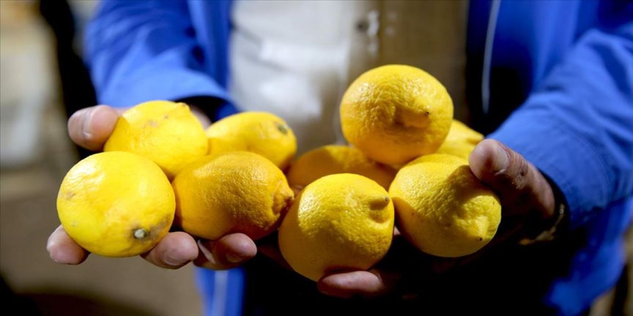 Fiyatı en çok artan ürün limon oldu