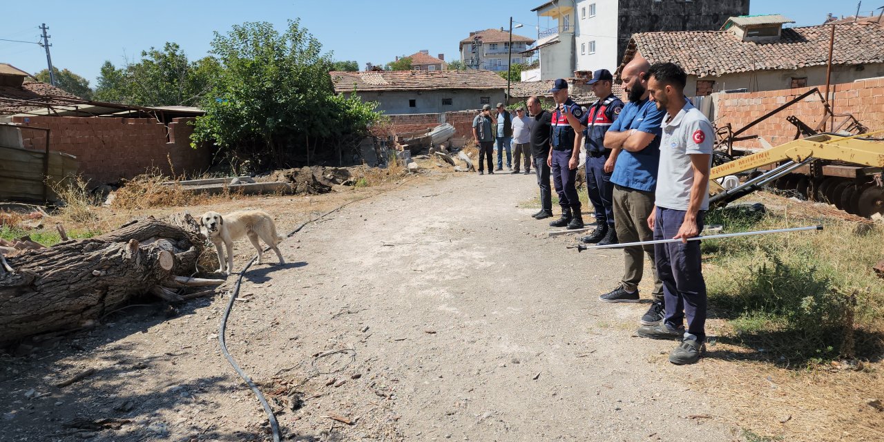 Kamyonet peşinde sürüklenen köpek tedaviye alındı