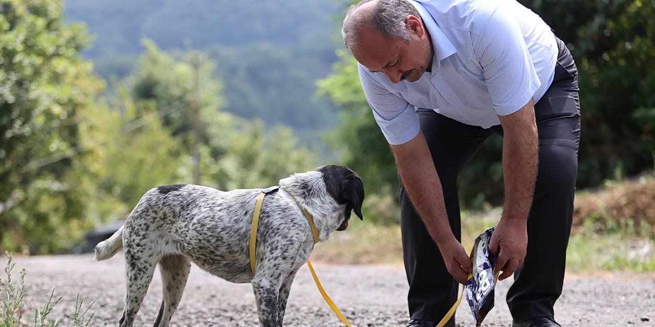 Başkan Karaca hasta köpeği sahiplendi