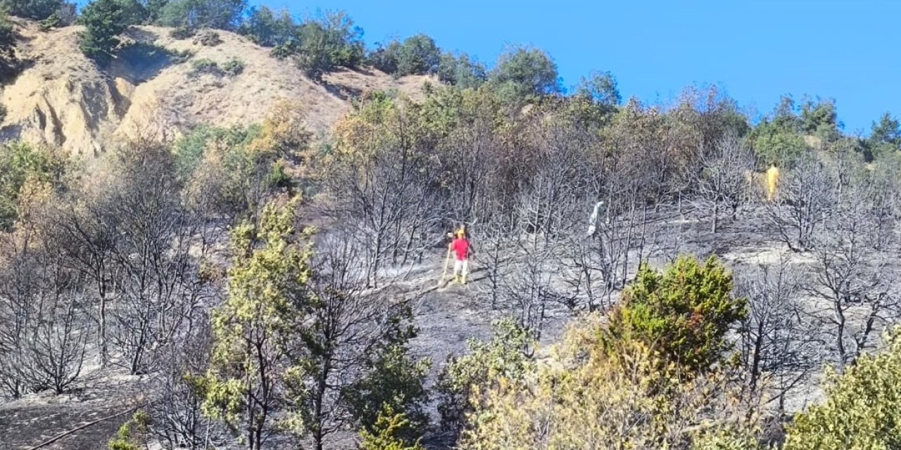 Orman yangınında 2 hektar alan zarar gördü