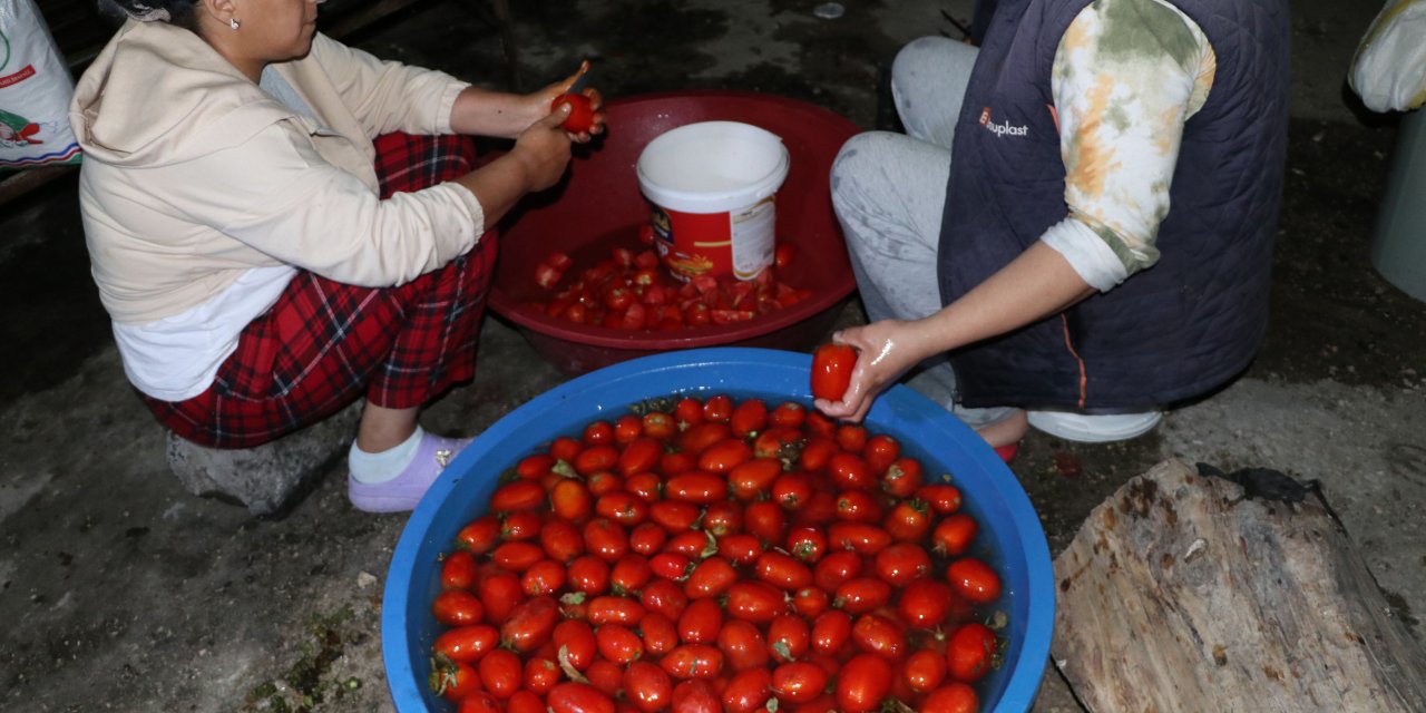 Samsun'da kadınlar mevsiminde domatesi salça yaparak değerlendiriyor