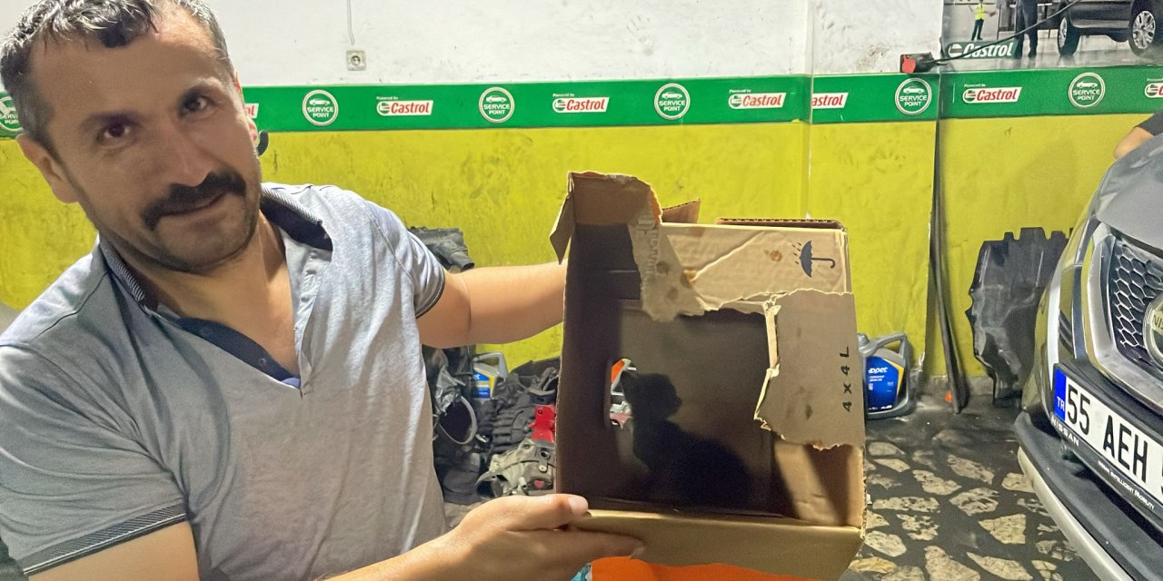 Motor bölümüne sıkışan yavru kedi kurtarıldı