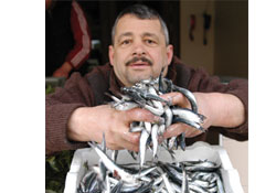 Hamsi, Karadenizi terk etti