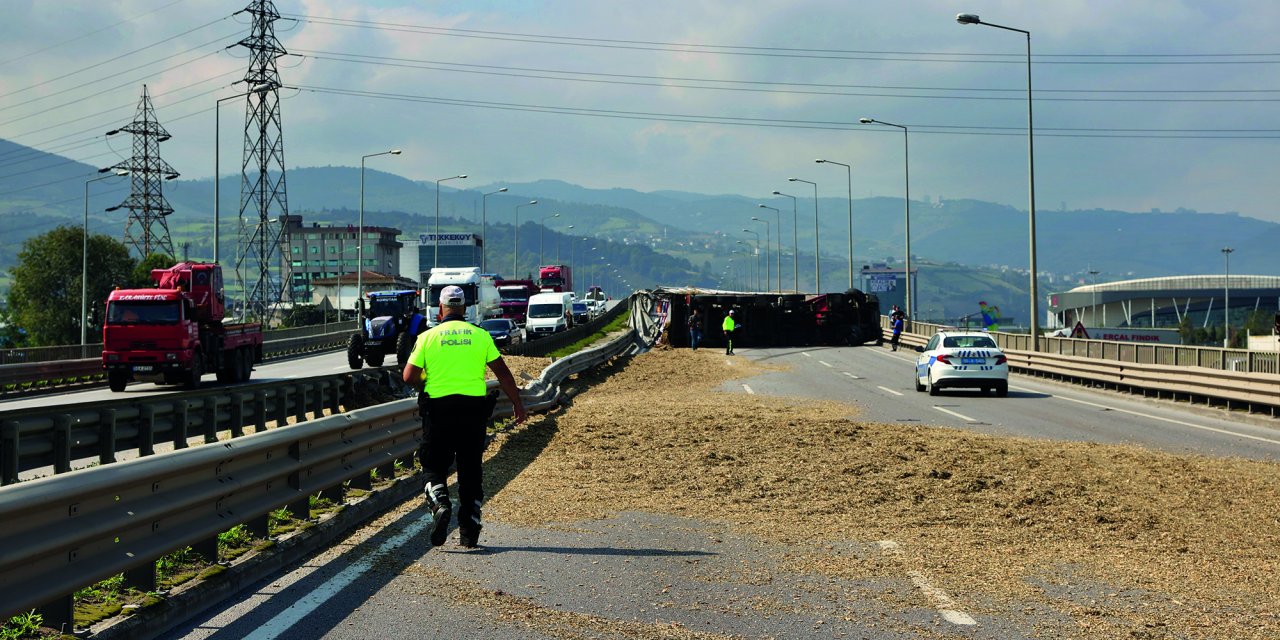 Samsun'da arı sokan tır şoförü kaza yaptı