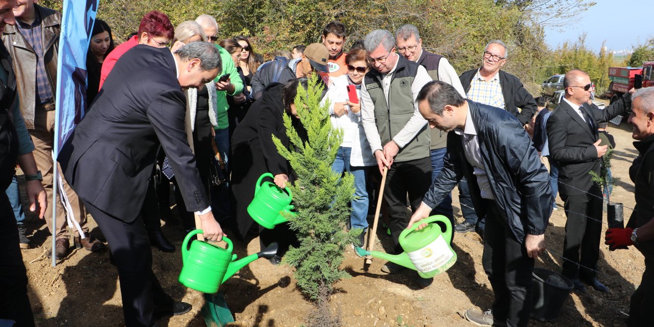 Fidan dikimleri Samsun’da başladı