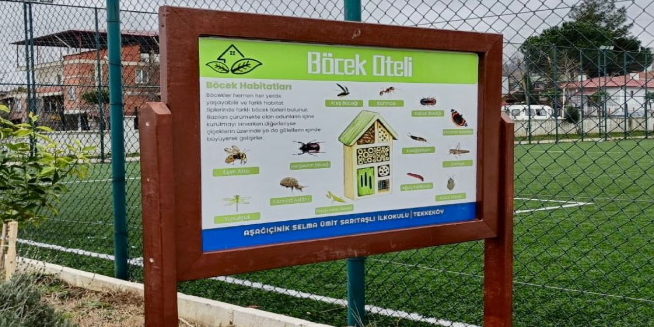 Minik öğrenciler "Böcek Oteli" yaptı