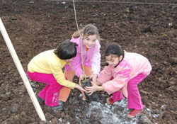 Kurupelit'te fidan dikimi