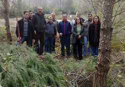 Ebru sergisi büyüledi