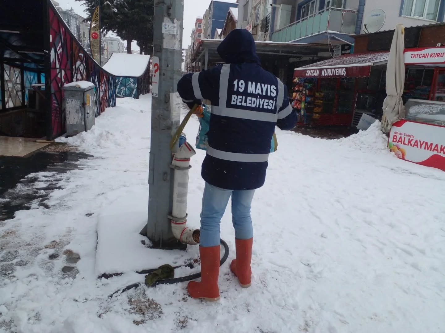 19 Mayıs belediyesinden sokak hayvanlarına mama desteği