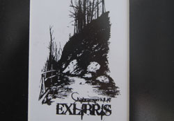 Genç yeteneklerden resim sergisi