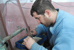 Dünyaya meydan okuyorlar