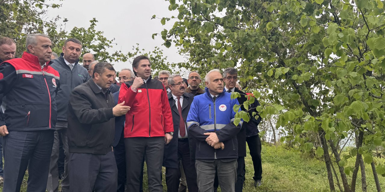 Zirai dondan etkilenen fındık bahçelerini inceledi