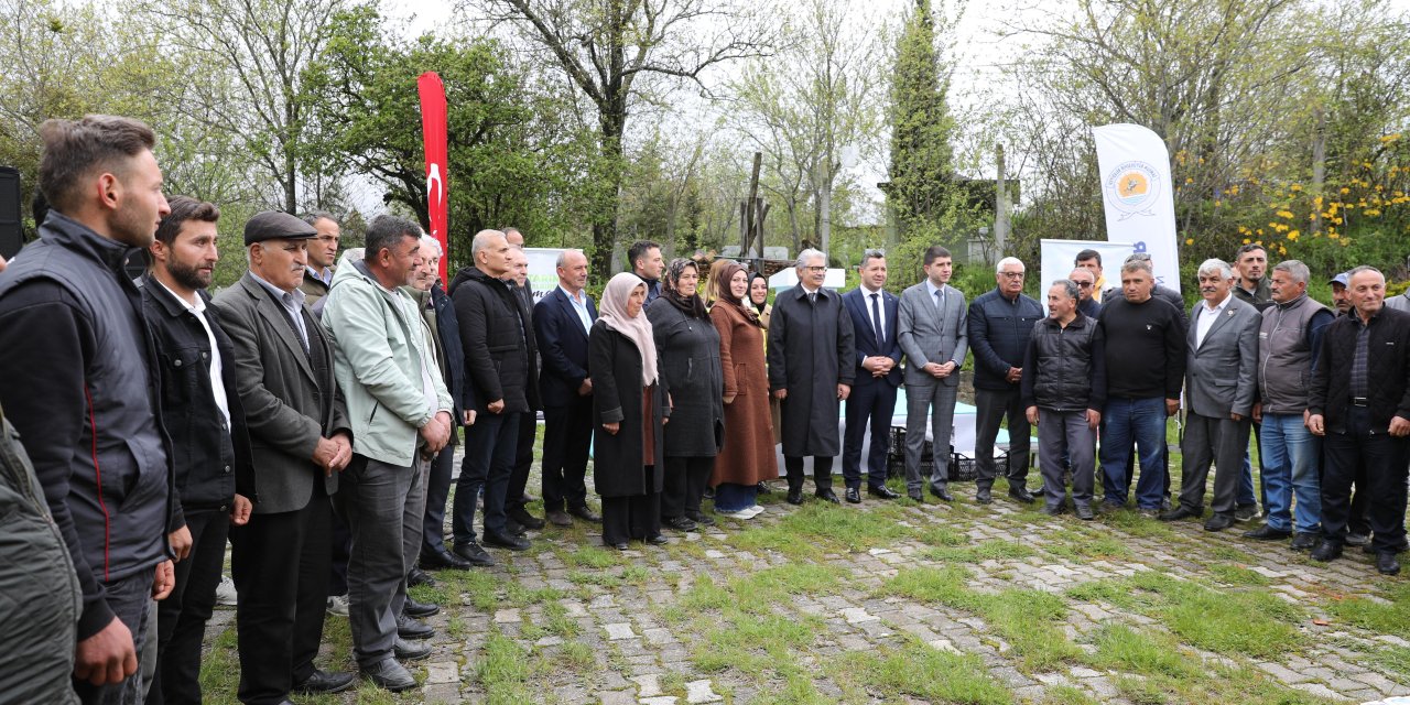 SBB'den çilek üreticilerine destek