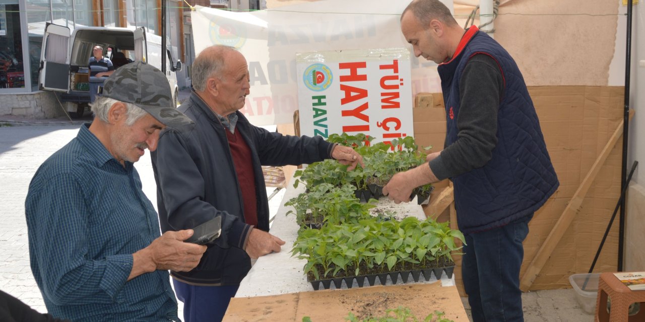 Sebze fidesi satışları başladı