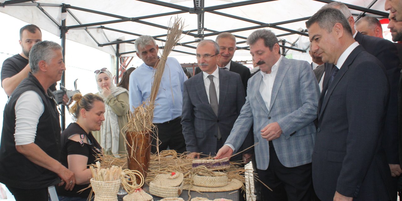 Bafra Ovası'nda çeltik ekimi başladı
