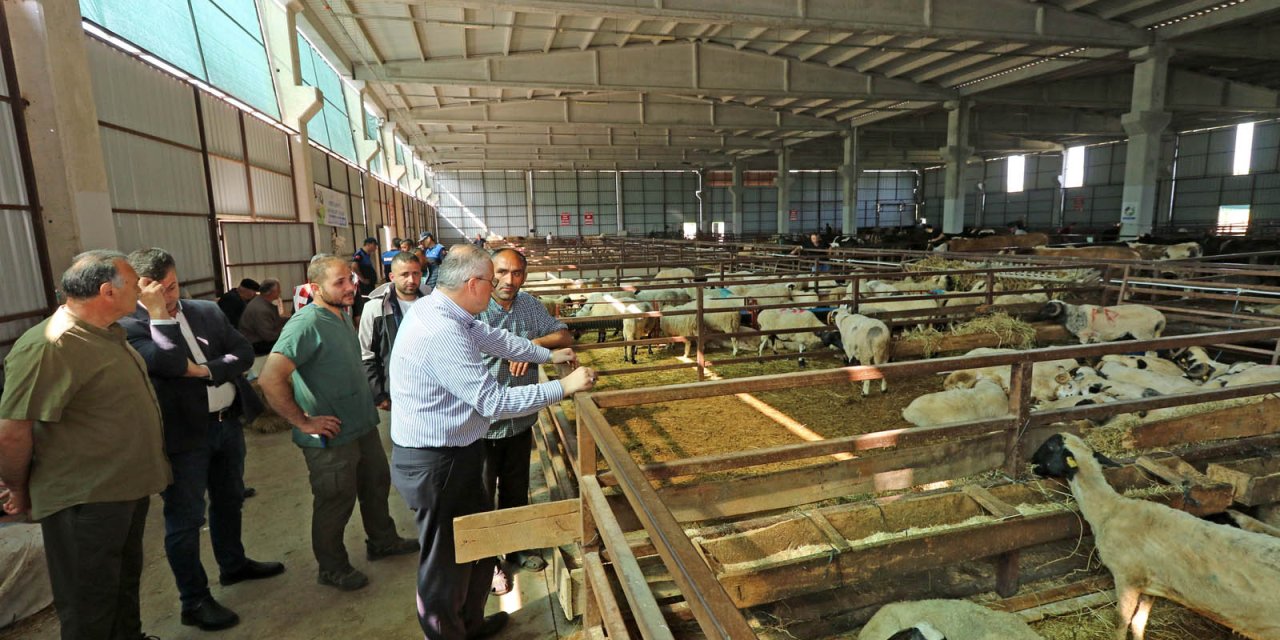 Hayvan pazarında inceleme yapıldı
