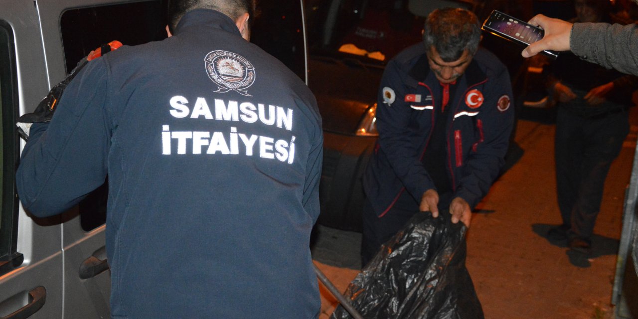Yakalanan yılan doğaya salındı
