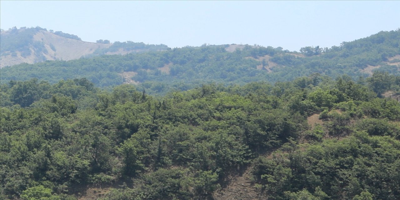 Samsun'da  30 Ekim'e kadar ormanlık alana girişler yasaklandı