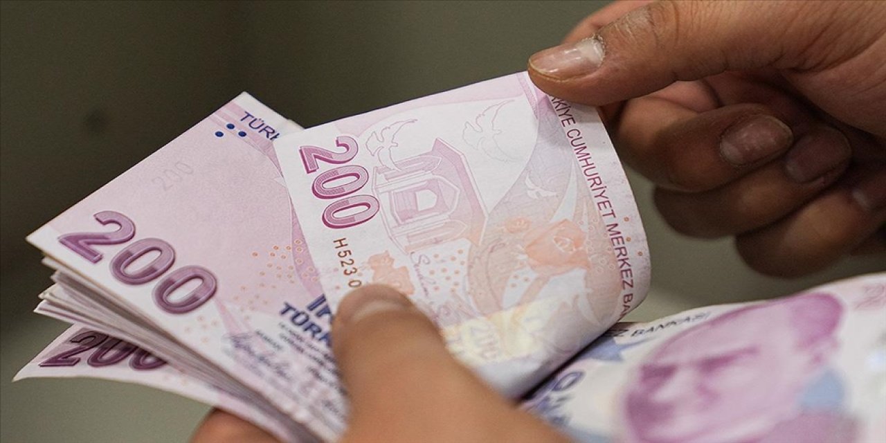 Destek ödemeleri hesaplara yatırıldı