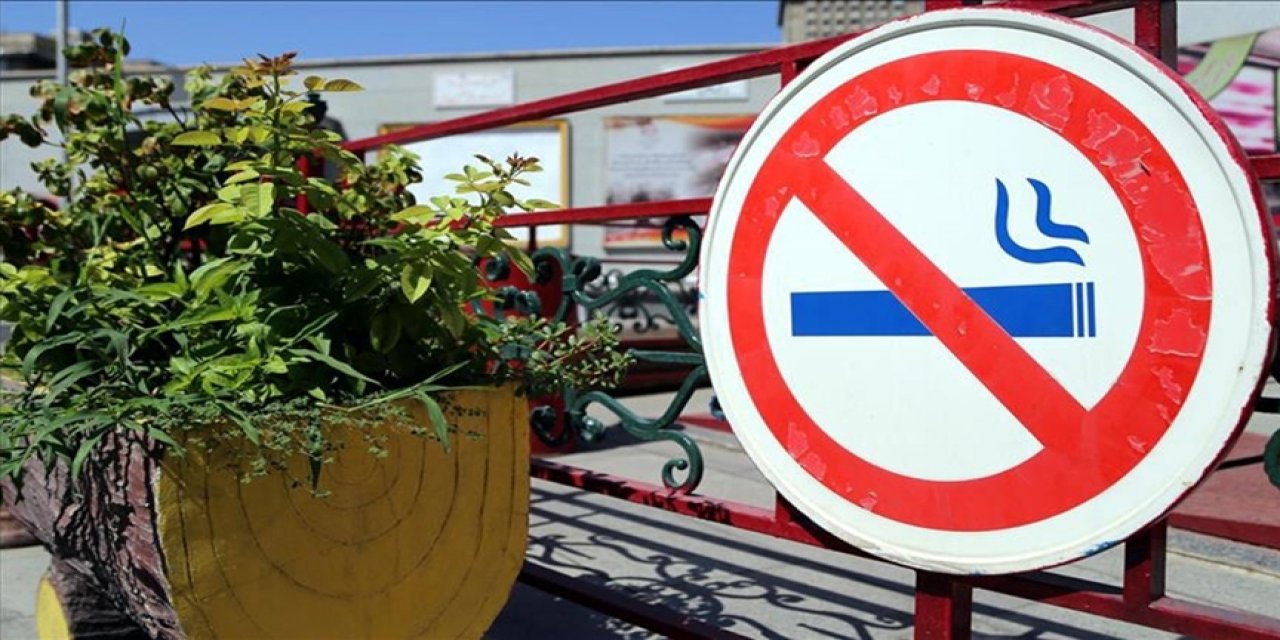 Dumansız Türkiye için yeni yol haritası