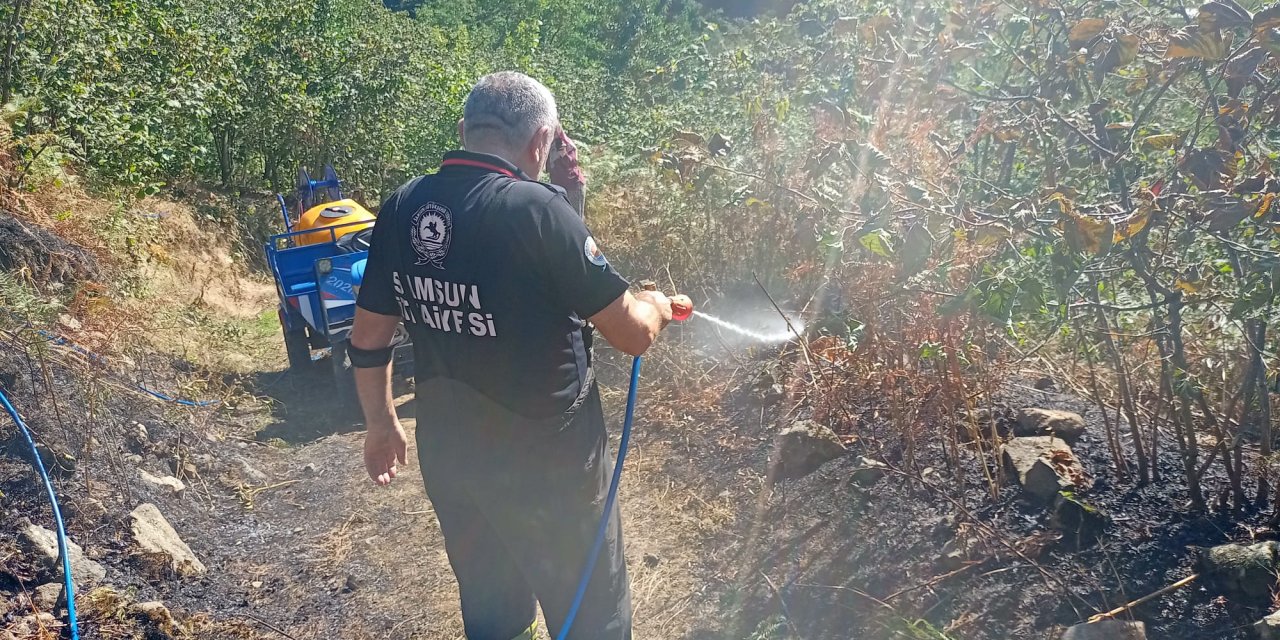 Fındık bahçesinde çıkan yangın hasara yol açtı