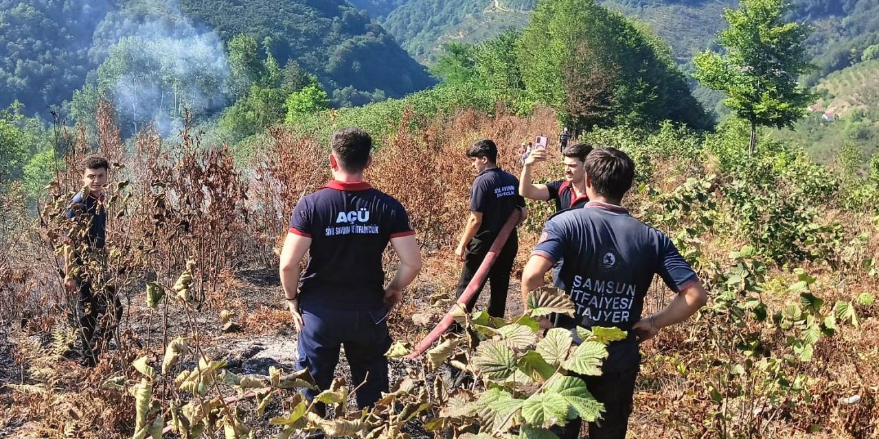 Samsun'da orman yangını büyümeden söndürüldü