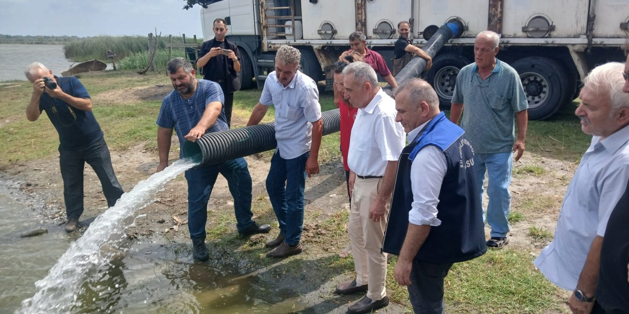 2 milyon 341 bin yavru sazan su kaynaklarına bırakıldı