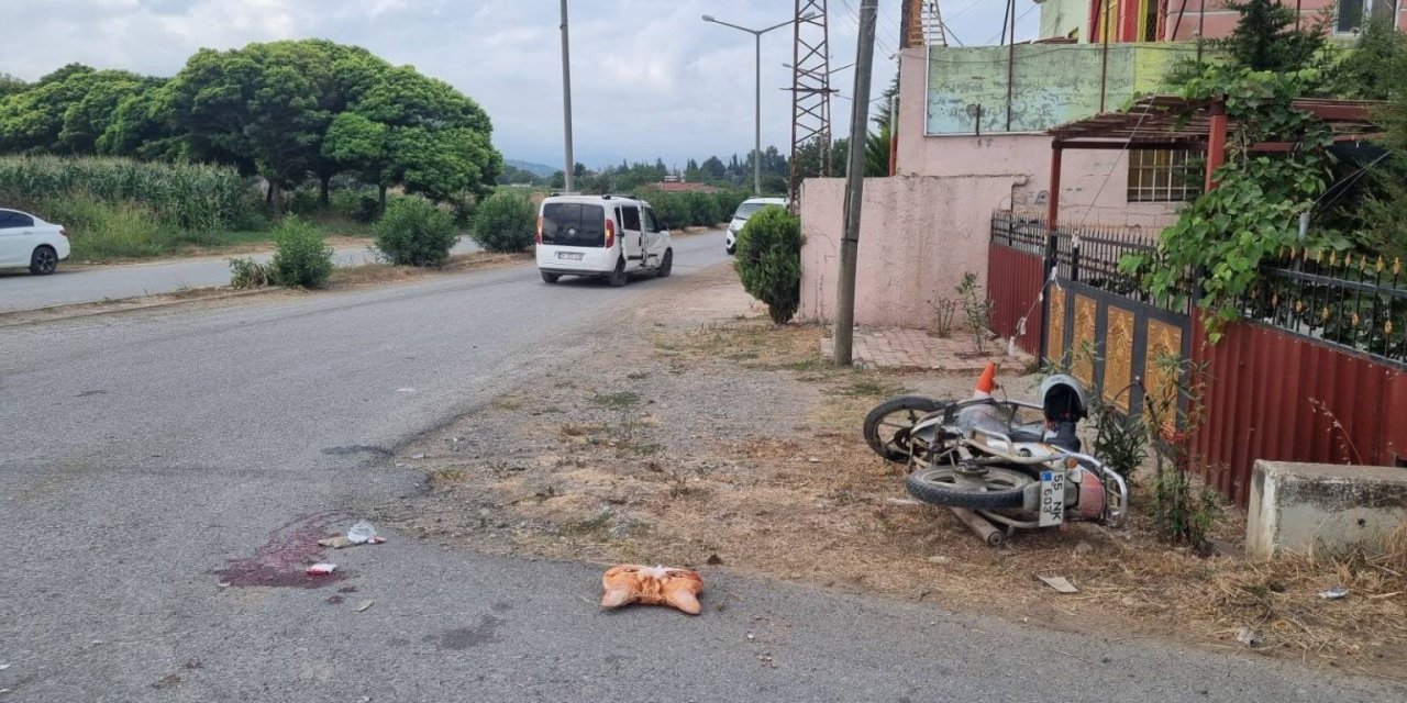Trafik kazasında baba ve kızı yaralandı