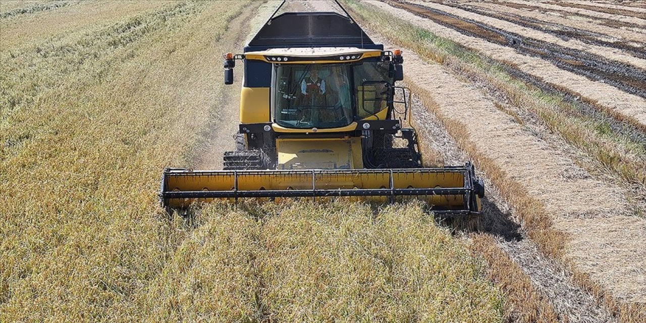 2025 yılı için 988 bin tonluk rekolte bekleniyor