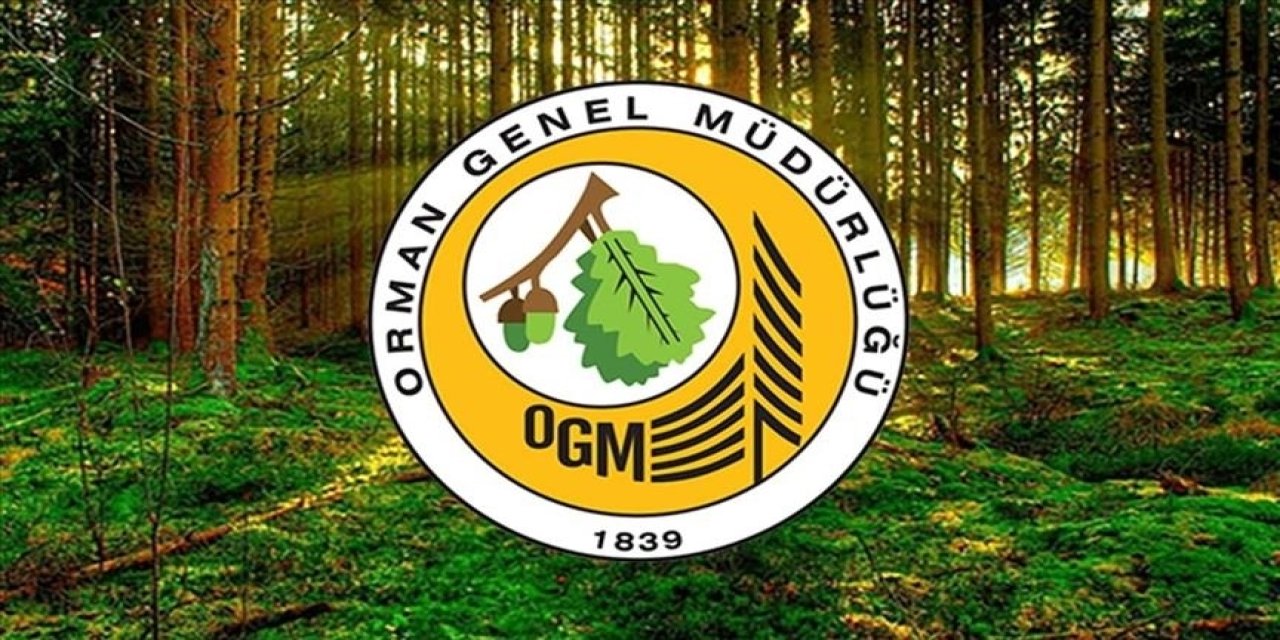 Orman Genel Müdürlüğü 262 daimi işçi alacak