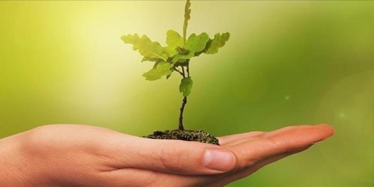 Meclis'ten Sıfır Atık Projesine tam destek