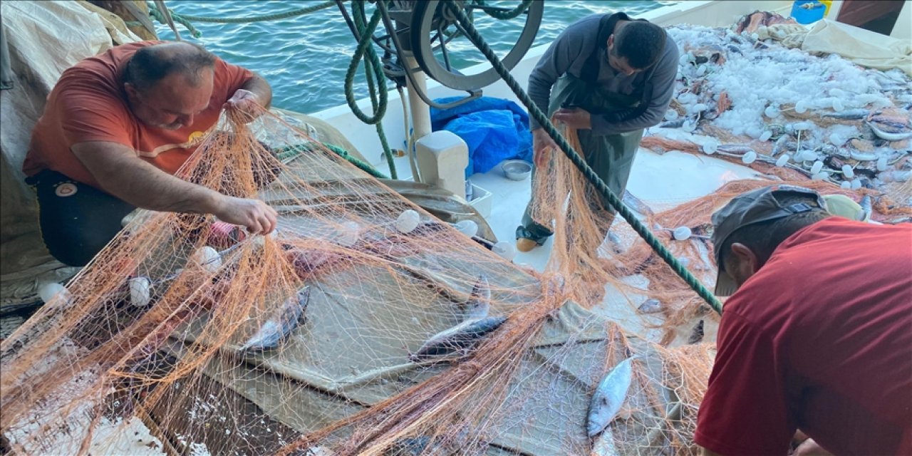 Bir balıkçının ağına 3 bin palamut takıldı