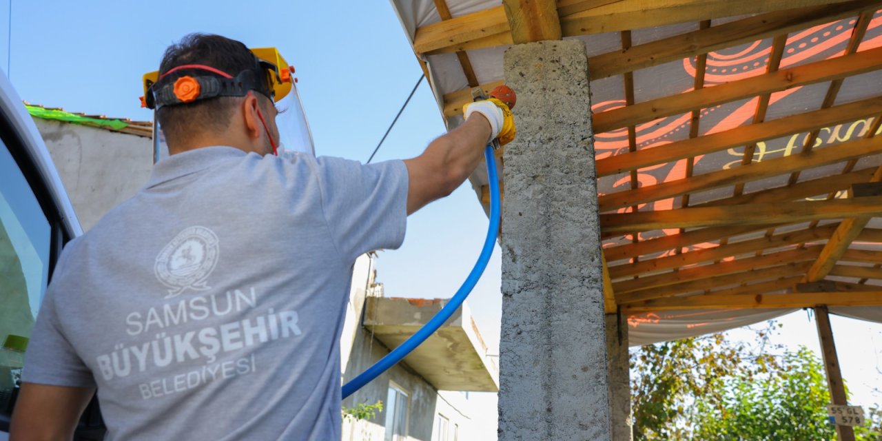 Kahverengi kokarcaya karşı kışlak mücadelesi