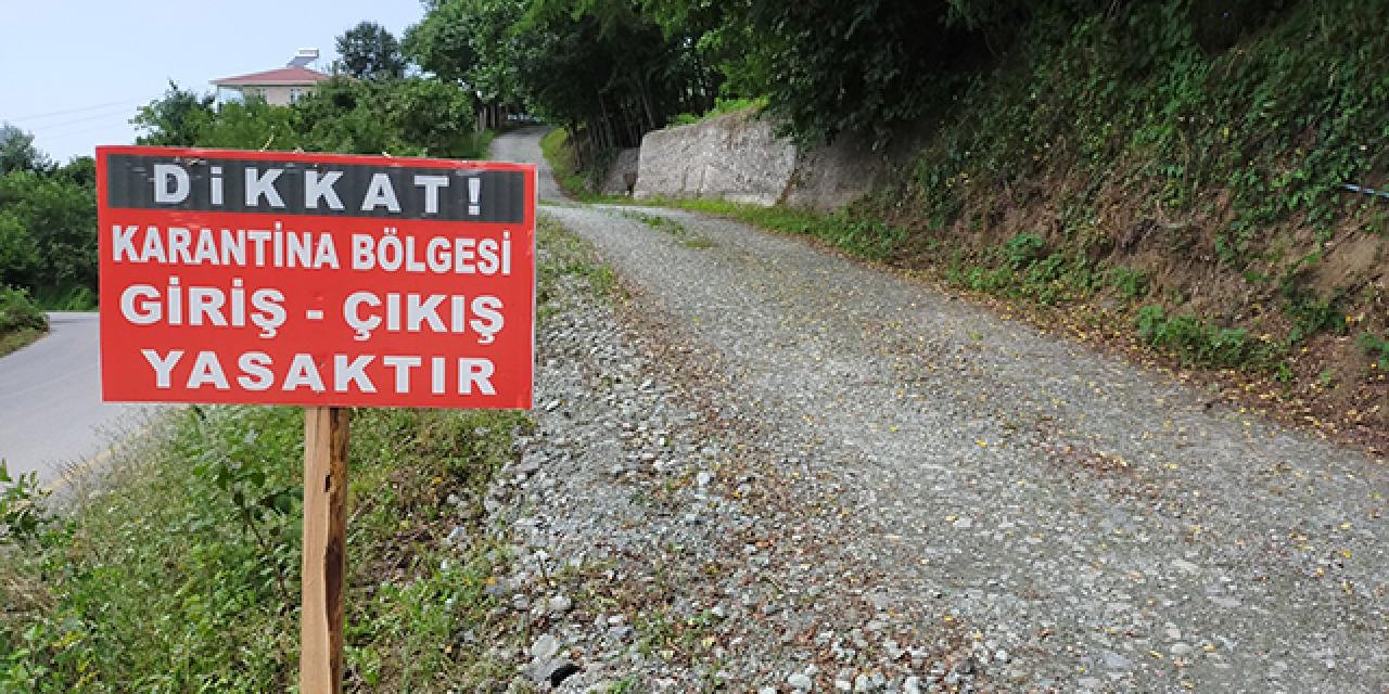 Samsun'un bazı mahallelerinde şap karantinası başlatıldı