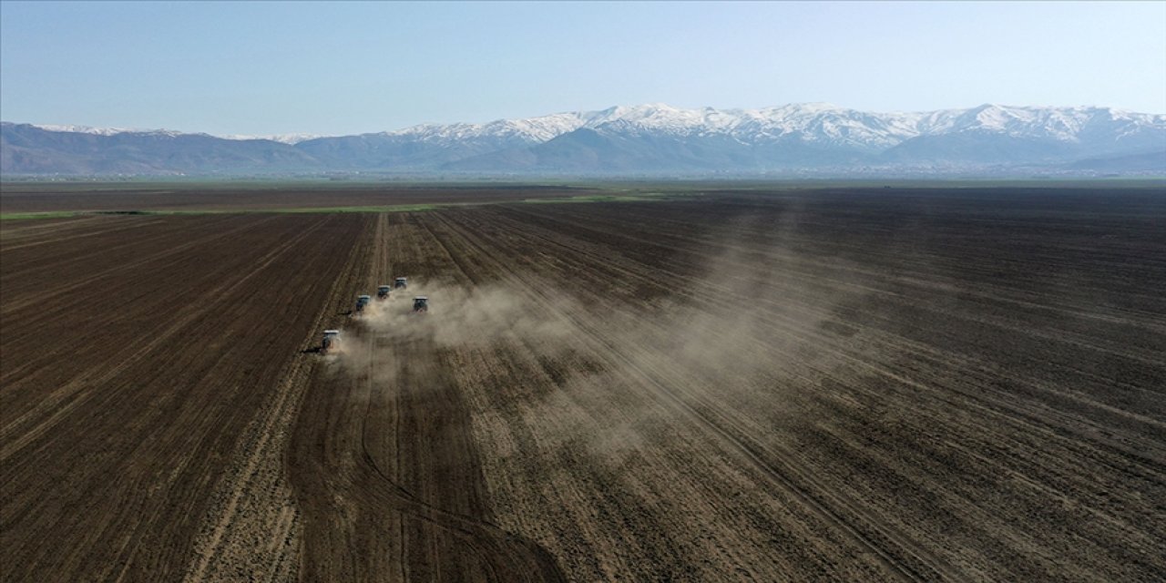 Toprağın daha az işlenmesi tavsiye ediliyor