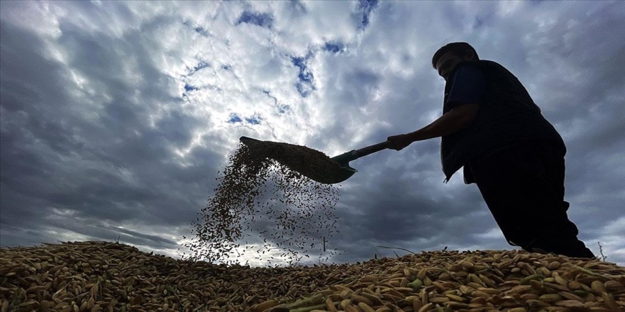 Çiftçilere destekleme ödemesi yapılacak