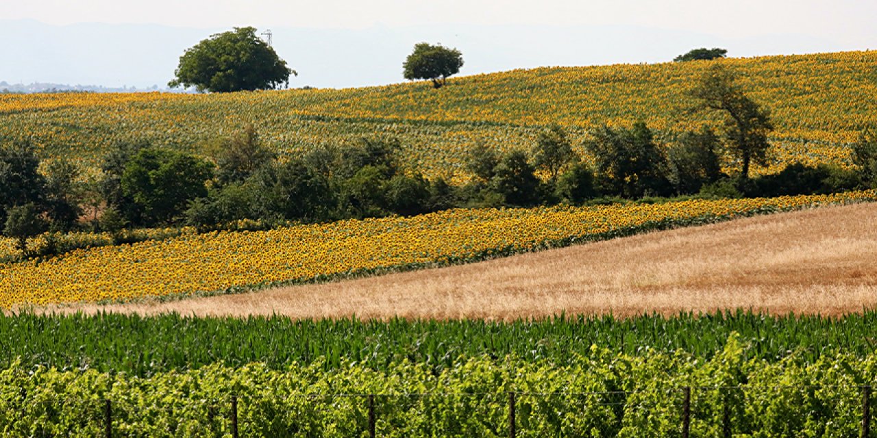 Tarımsal girdi fiyat endeksi 1,3 arttı
