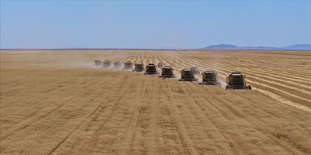 Bütçeden tarımsal desteklere 168 milyar lira ayrıldı